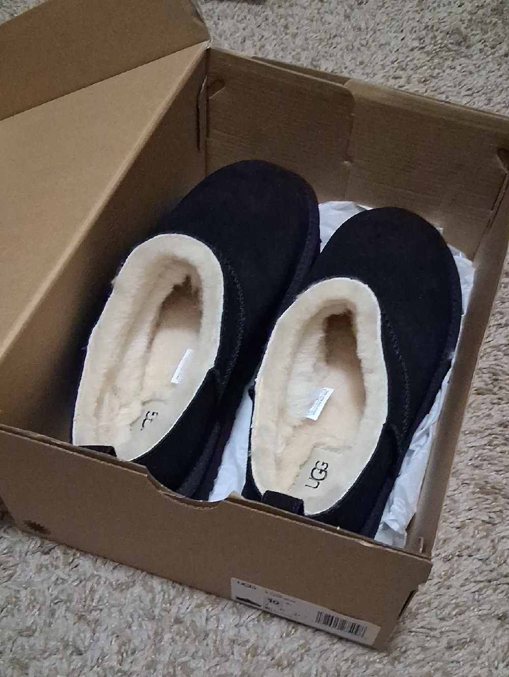 UGG Black Suede Cozy Booties